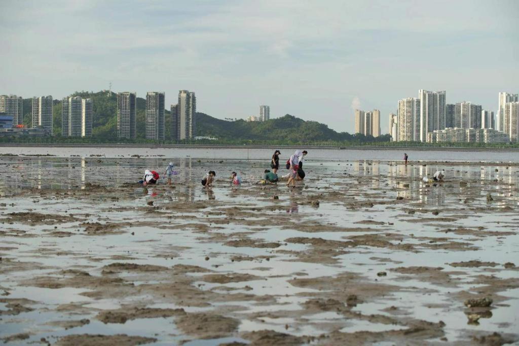 珠海旭日湾巢酒店 外观 照片